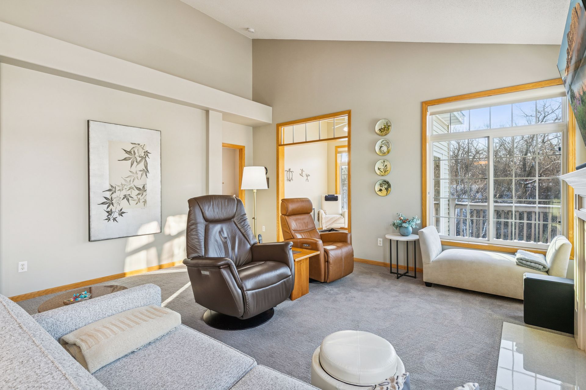Vaulted Living Room Ceiling
